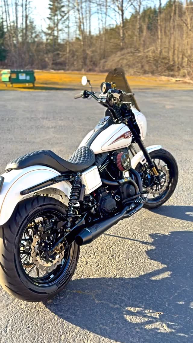 Ward Customs gallery 03-dyna-freedom.jpg